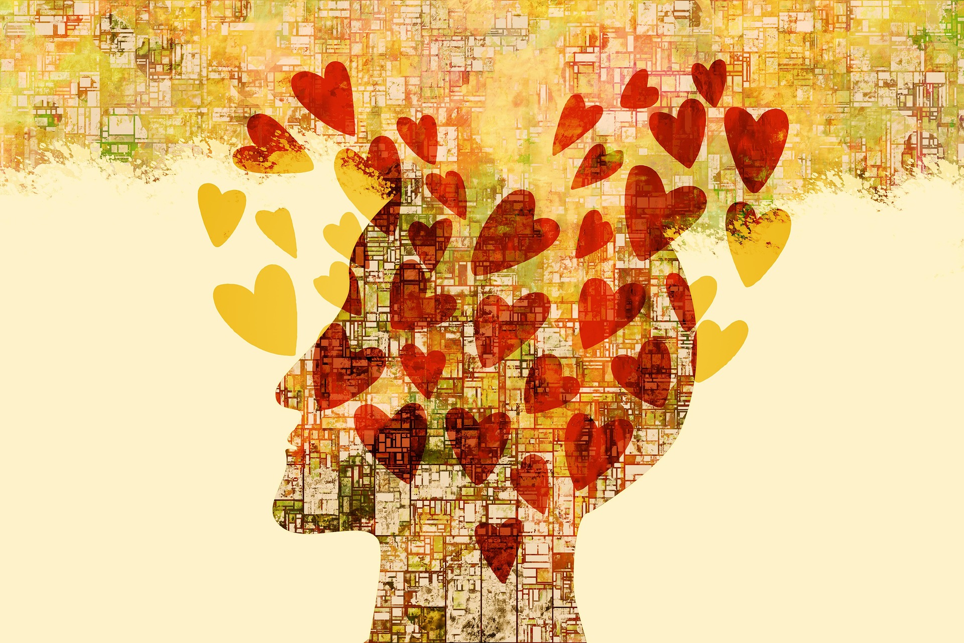 Image de la page couverture