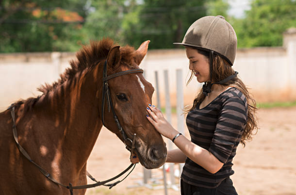 Image de la page couverture