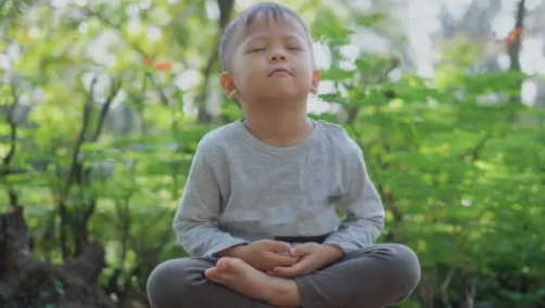 Image de la page couverture